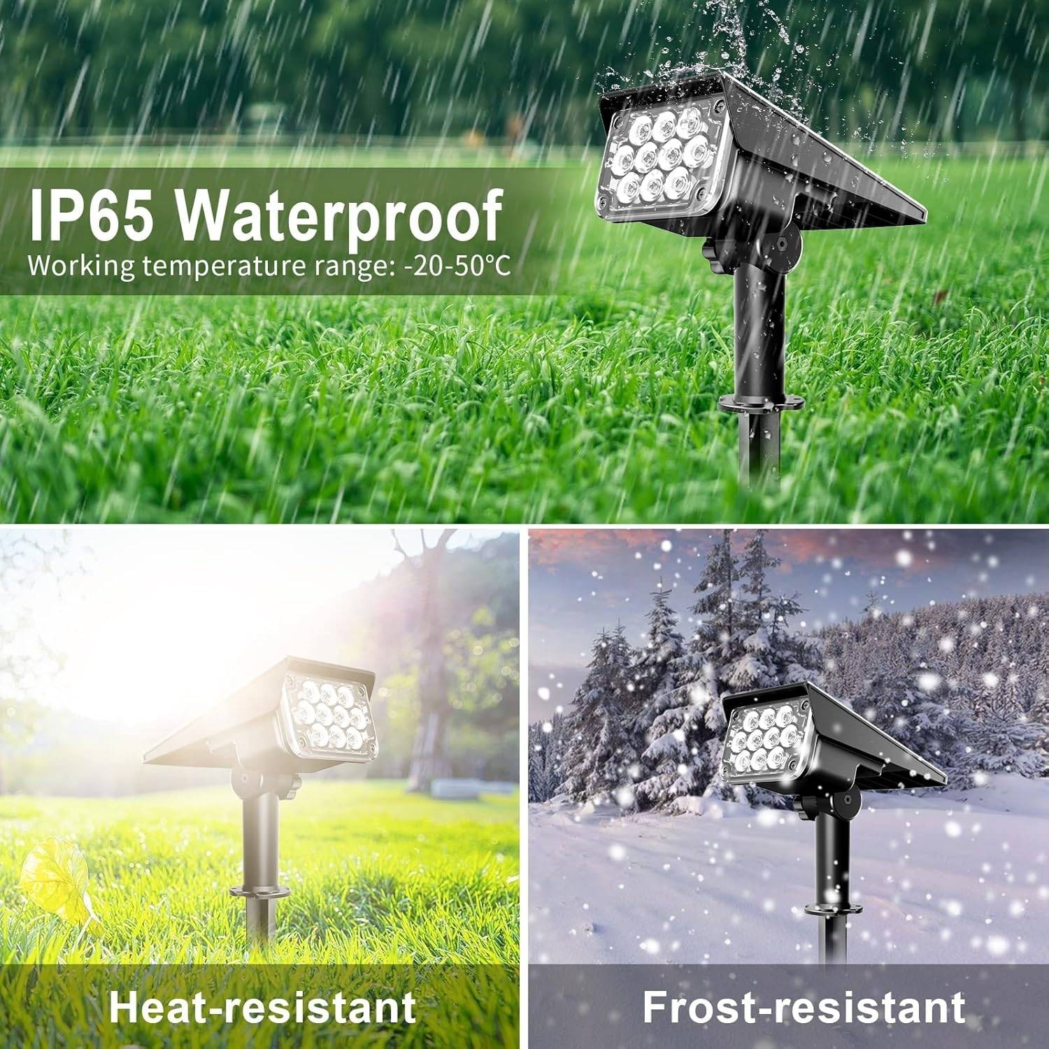 Solar Spot Light: image 3